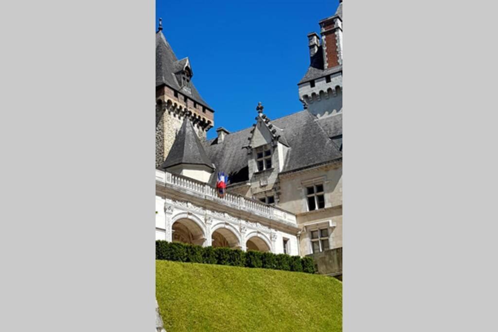 Magnolia : Superbe Deux-Pieces Quartier Du Chateau ポー エクステリア 写真